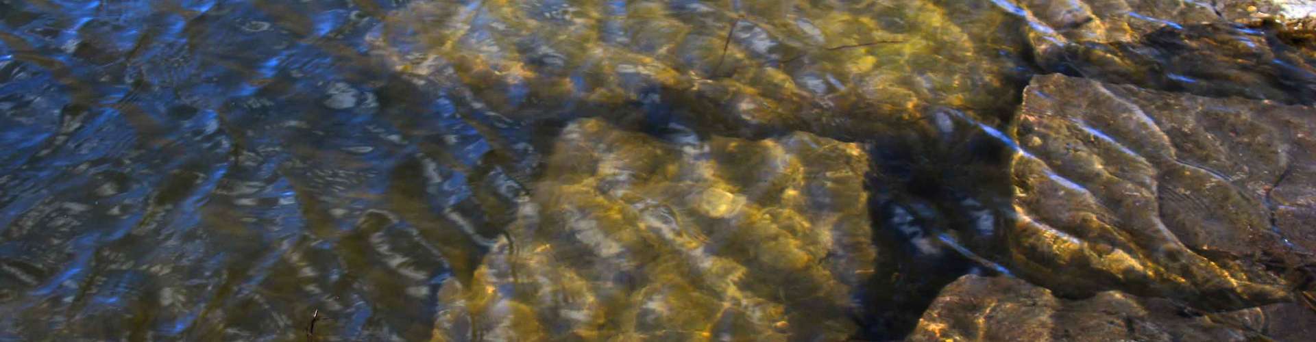 Das Foto von den Steinen unter Wasser fuer comercial Fotos und Bilder.