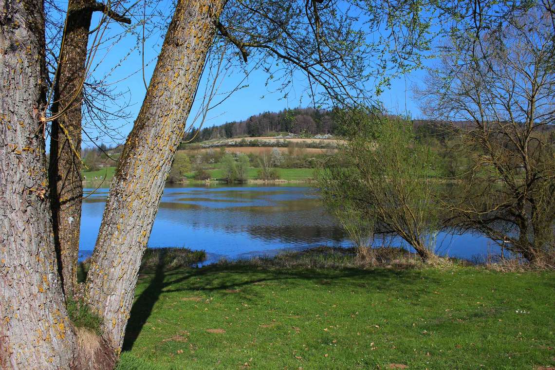 Die Landschaft im Fruehling am Hahnenkammsee 01 fuer comercial Fotos und Bilder.