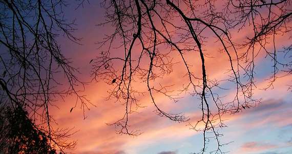 Das Foto Stimmung vom Sonnenuntergang fuer comercial Fotos und Bilder.