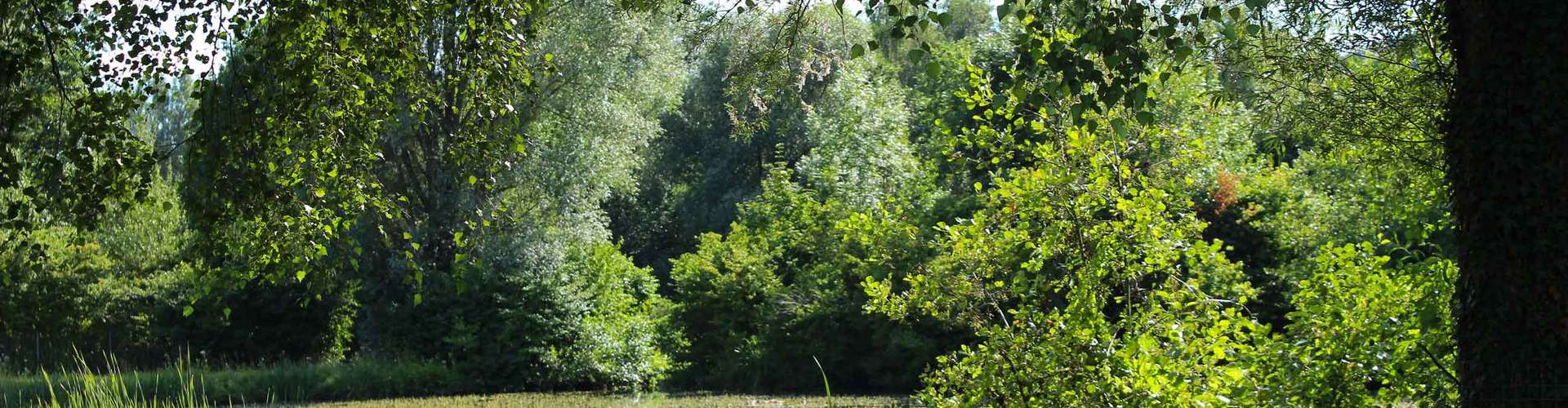 Das Foto fuer Landschaft im Sommer im Kurpark fuer comercial Fotos und Bilder.