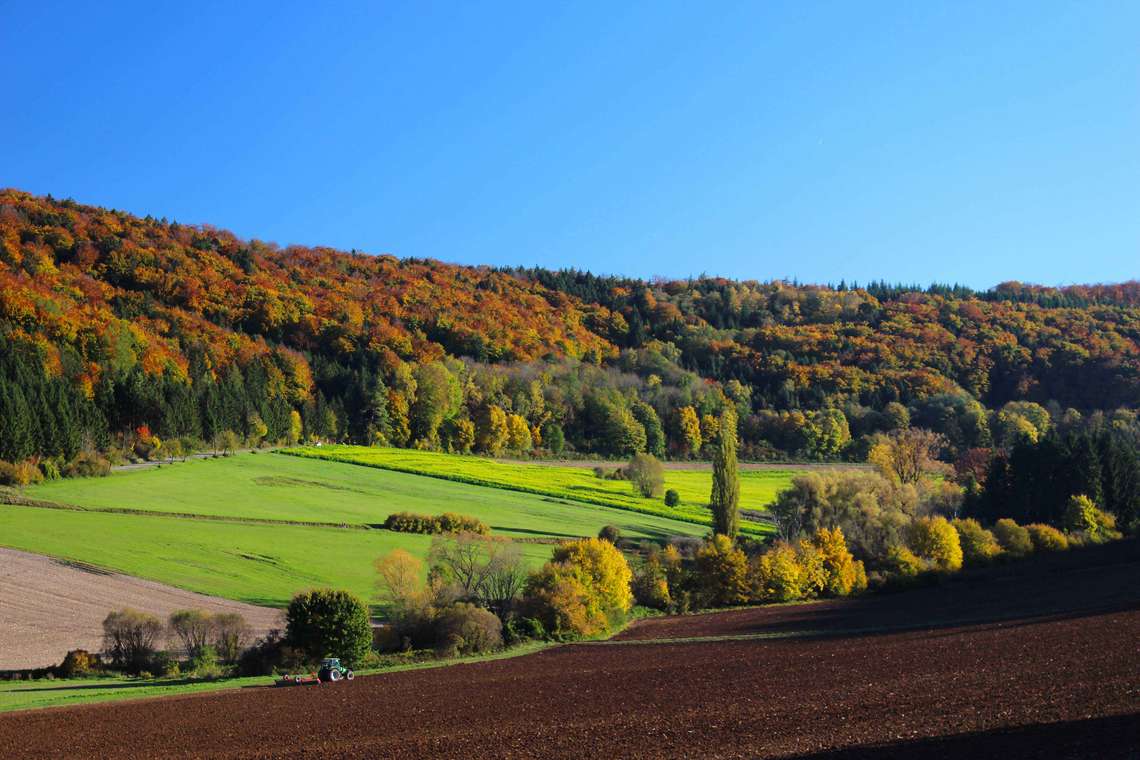 Das Foto der Landschaft im Herbst im Rohrachtal 01 fuer comercial Foto und Bilder.