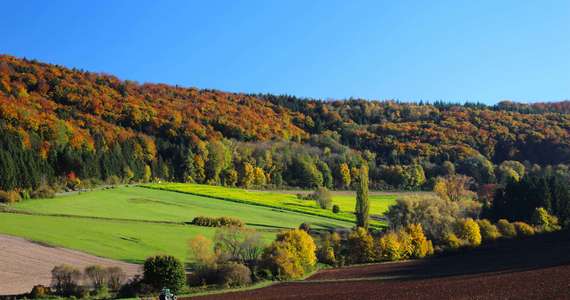 Das Foto der Landschaft im Herbst vom Rohrachtal 01 für comercial Fotos und Bilder.