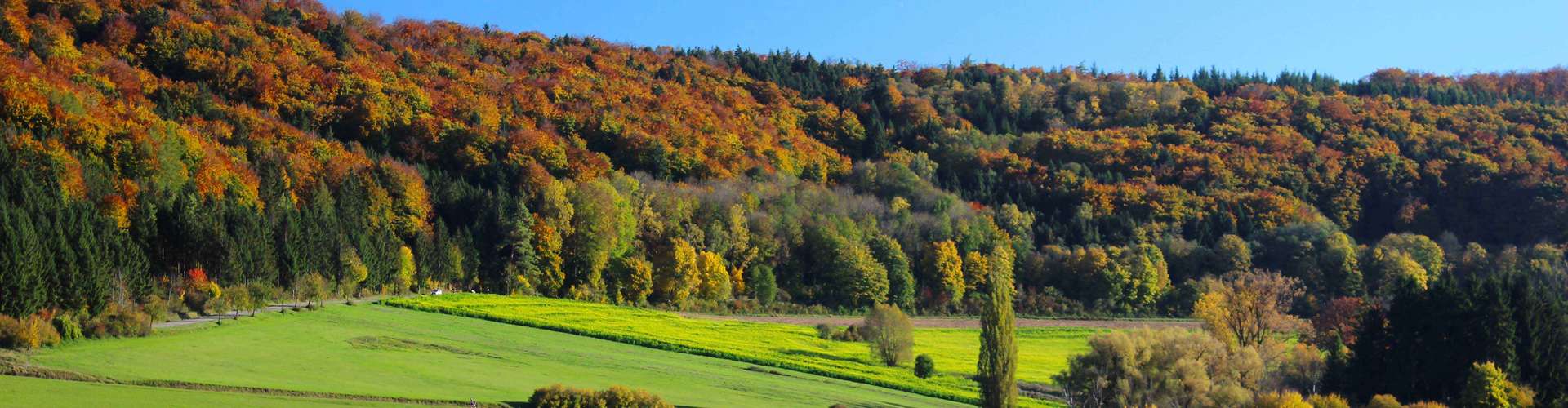 Das Foto der Landschaft im Herbst vom Rohrachtal 01 für comercial Fotos und Bilder.