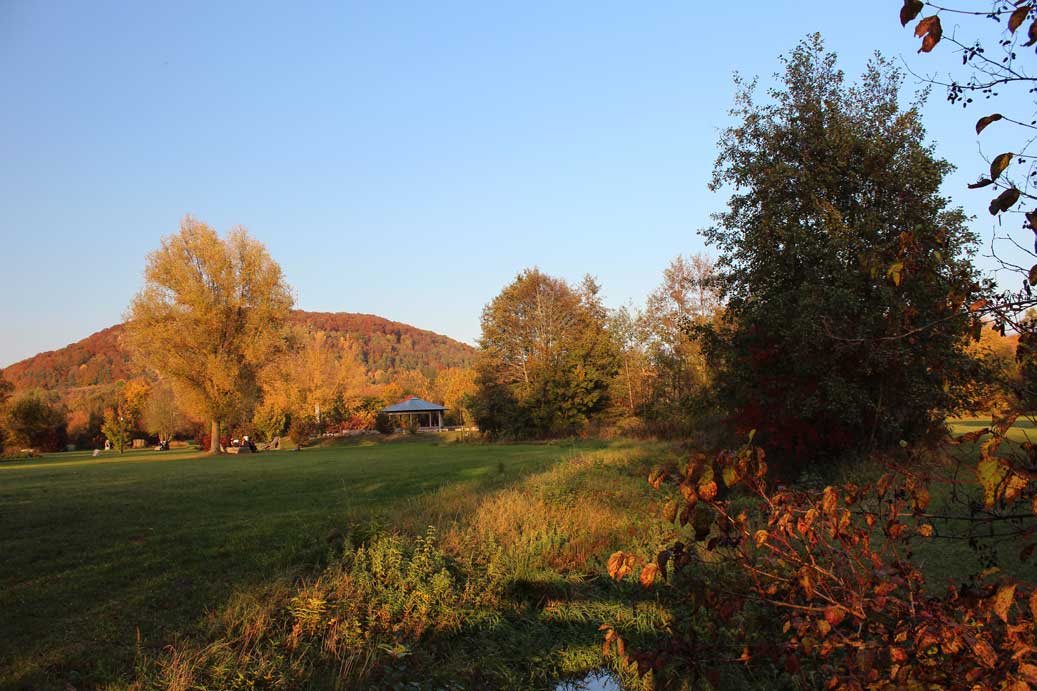 Das Foto der Landschaft im Herbst, Kurpark 23 für comercial Fotos und Bilder.