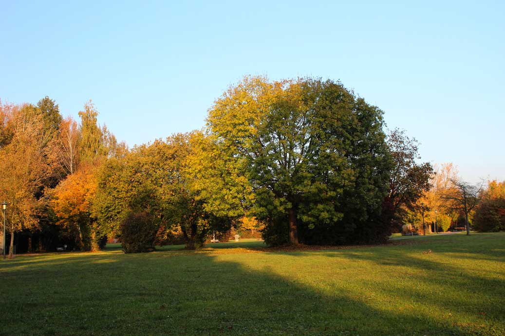 Das Foto der Landschaft im Herbst, Kurpark 25 für comercial Fotos und Bilder.