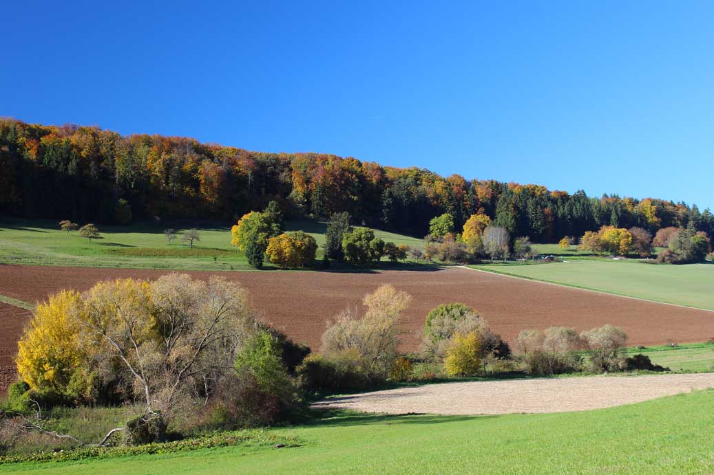 Das Foto der Landschaft im Herbst im Rohrachtal 04 für comercial Fotos und Bilder.