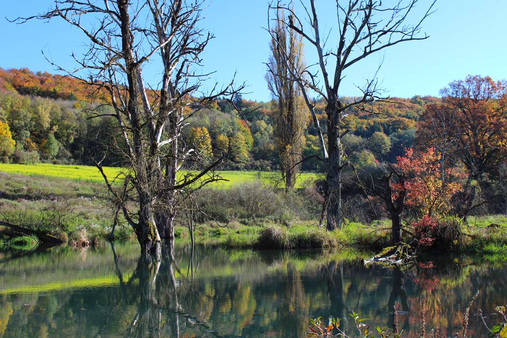 Das Foto der Landschaft im Herbst im Rohrachtal 06 für comercial Fotos und Bilder.