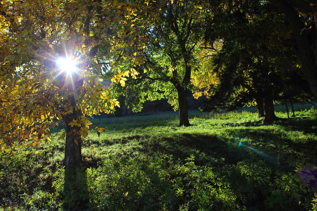 Das Foto der Landschaft im Herbst im Rohrachtal 08 für comercial Fotos und Bilder.