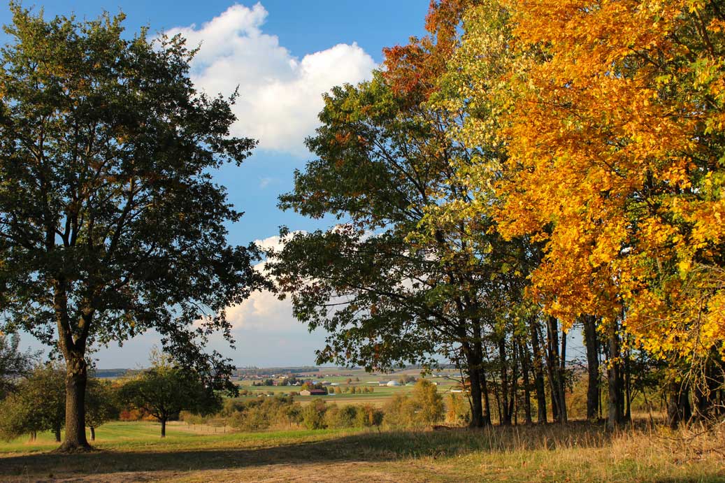 Das Foto der Landschaft im Herbst Trommetsheimer-Berg 21 für comercial Fotos und Bilder.