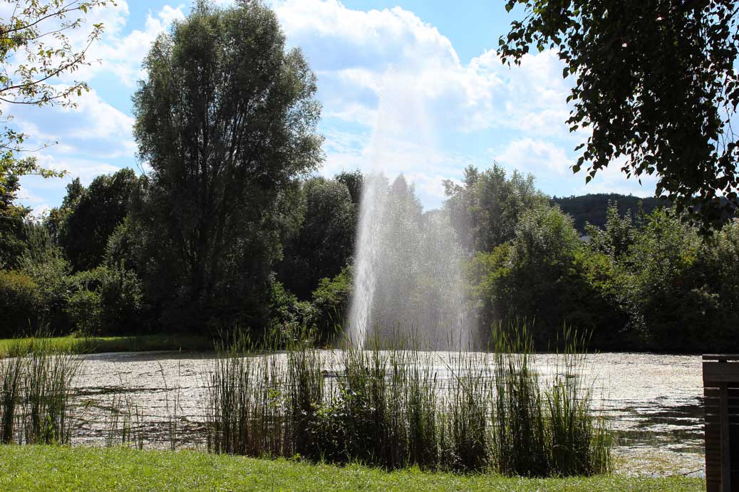 Die Landschaft im Sommer im Kurpark Treuchtlingen 06 fuer comercial Fotos und Bilder.