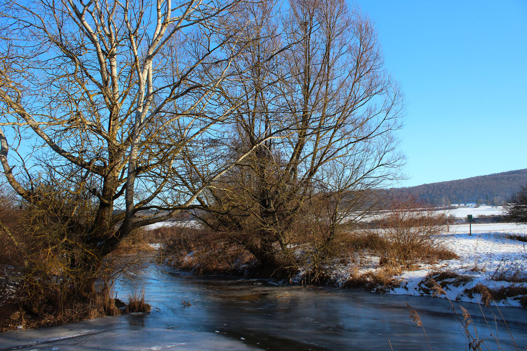Die Landschaft im Winter im Auwald der Altmuehl bei Treuchtlingen 12 fuer comercial Fotos und Bilder.