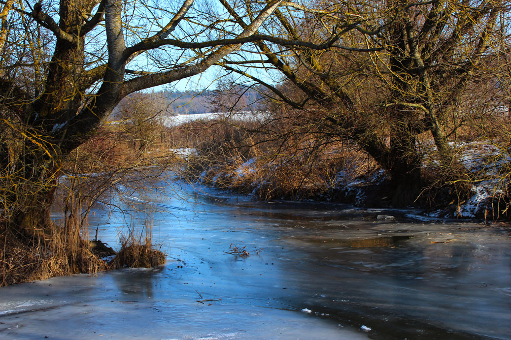 Die Landschaft im Winter im Auwald der Altmuehl bei Treuchtlingen 13 fuer comercial Fotos und Bilder.