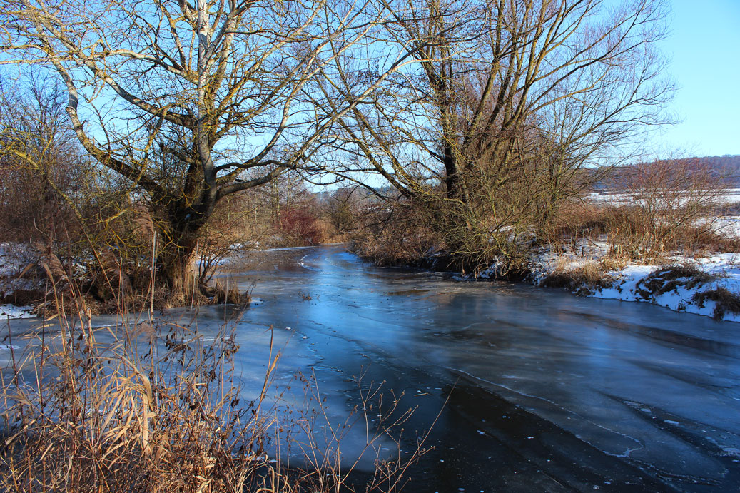 Die Landschaft im Winter im Auwald der Altmuehl bei Treuchtlingen 14 fuer comercial Fotos und Bilder.
