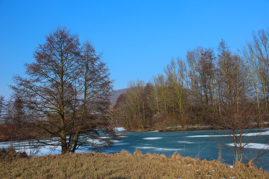 Die Landschaft im Winter im Kurpark in Treuchtlingen 02 fuer comercial Fotos und Bilder.