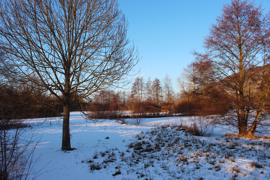 Die Landschaft im Winter im Kurpark in Treuchtlingen 03 fuer comercial Fotos und Bilder.