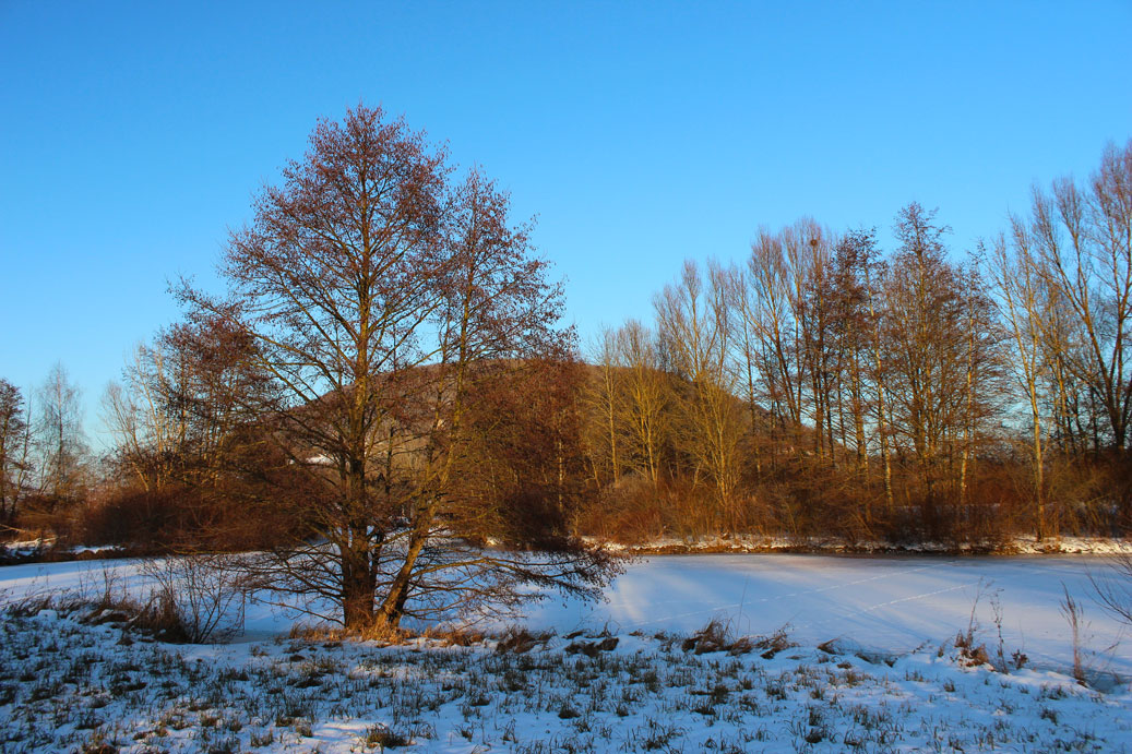 Die Landschaft im Winter im Kurpark in Treuchtlingen 04 fuer comercial Fotos und Bilder.