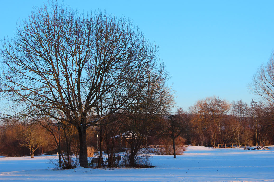 Die Landschaft im Winter im Kurpark in Treuchtlingen 05 fuer comercial Fotos und Bilder.