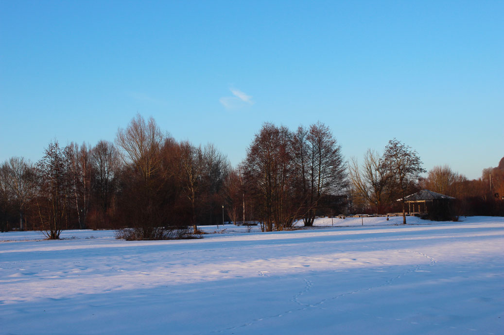Die Landschaft im Winter im Kurpark in Treuchtlingen 08 fuer comercial Fotos und Bilder.