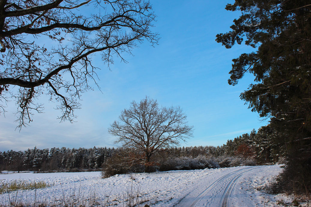 Die Landschaft im Winter bei Osterdorf 21 fuer comercial Fotos und Bilder.