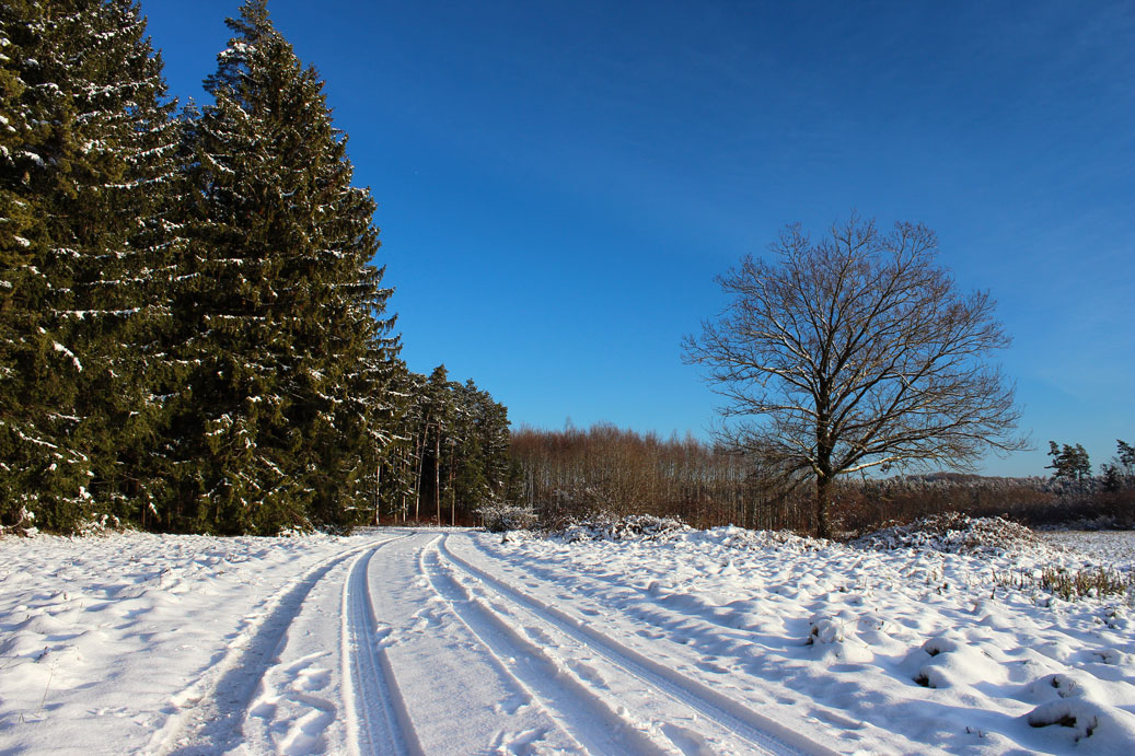 Die Landschaft im Winter bei Osterdorf 23 fuer comercial Fotos und Bilder.