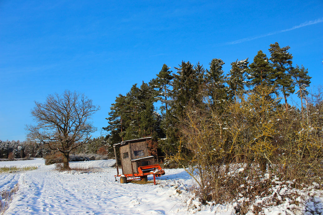 Die Landschaft im Winter bei Osterdorf 24 fuer comercial Fotos und Bilder.