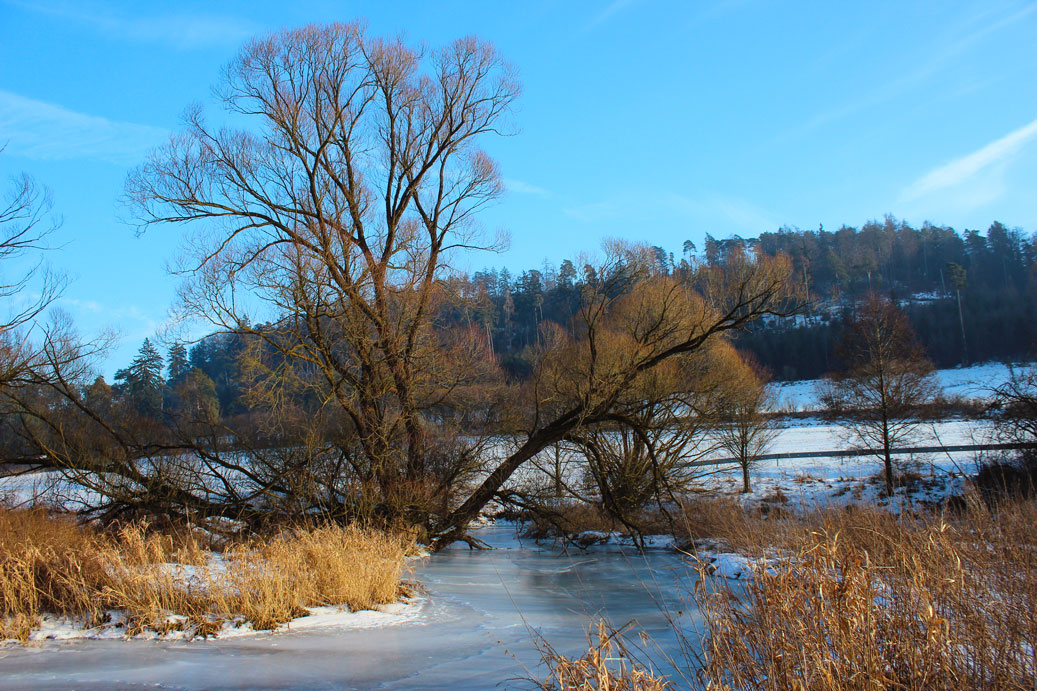 Die Landschaft im Winter bei Schambach 32 fuer comercial Fotos und Bilder.