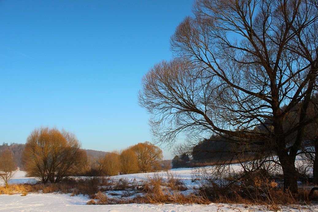 Die Landschaft im Winter bei Schambach 34 fuer comercial Fotos und Bilder.