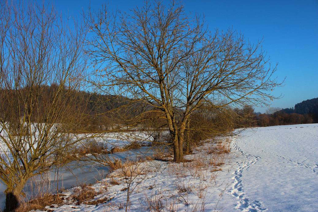 Die Landschaft im Winter bei Schambach 36 fuer comercial Fotos und Bilder.