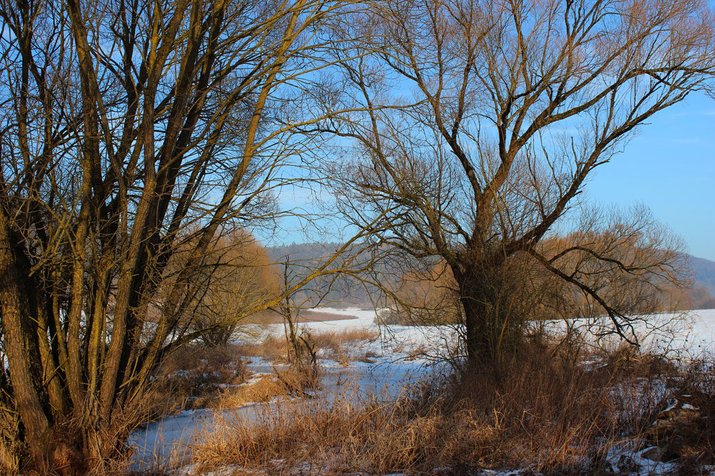 Die Landschaft im Winter bei Schambach 38 fuer comercial Fotos und Bilder.