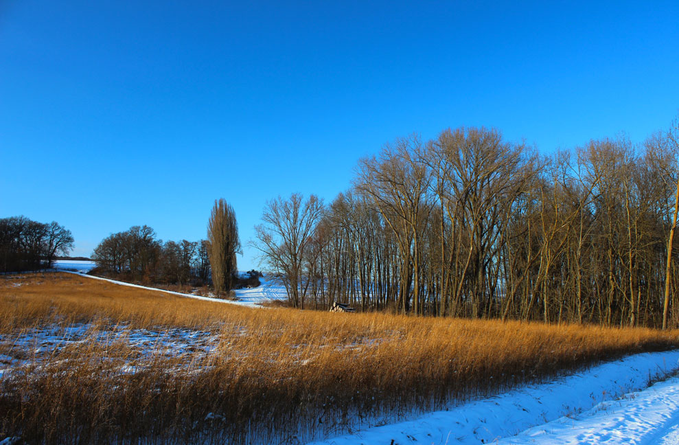 Die Landschaft im Winter bei Wettelsheim 25 fuer comercial Fotos und Bilder.