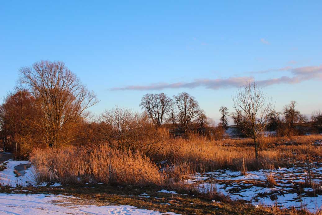 Die Landschaft im Winter bei Trommetsheim am Fischhaus 39 fuer comercial Fotos und Bilder.