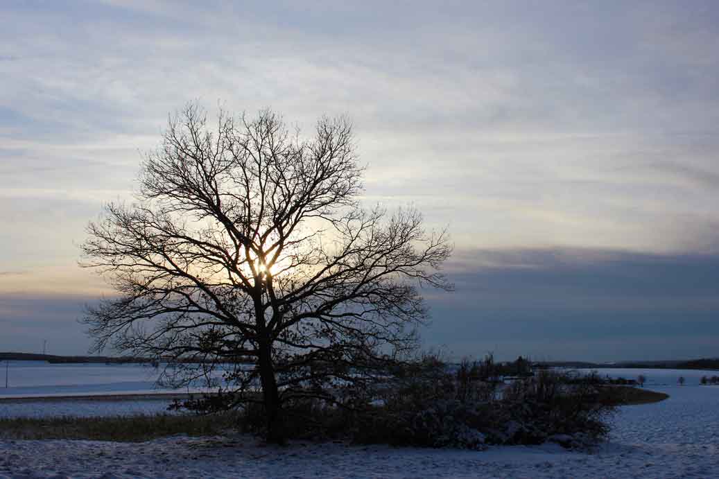 Die Stimmung im Winter der Sunstar 02 für comercial Fotos und Bilder.