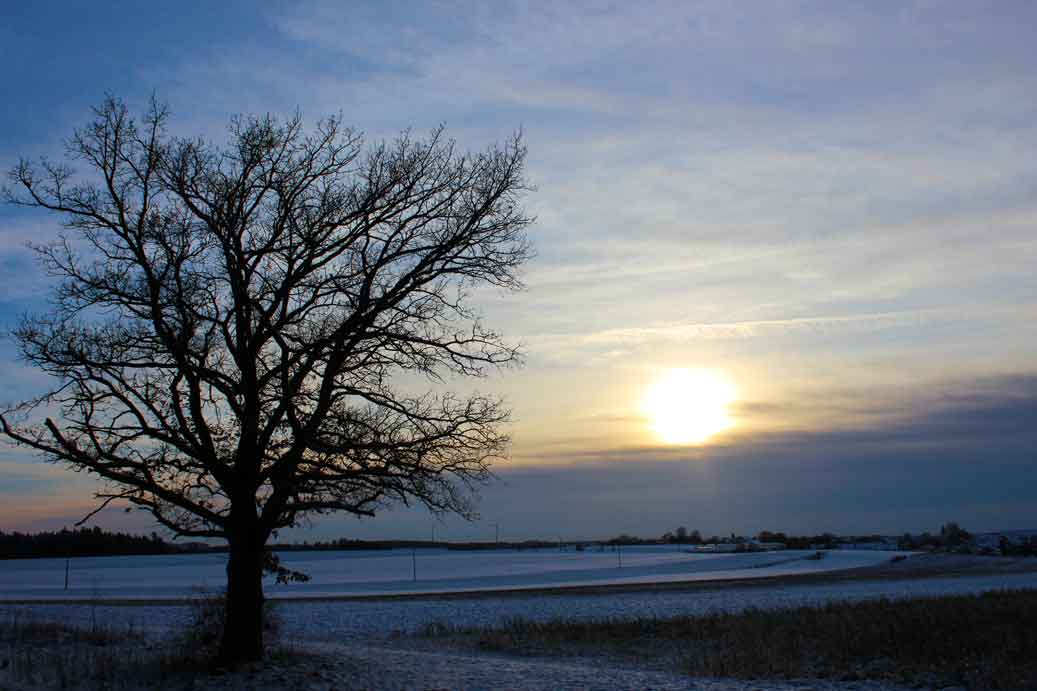 Die Stimmung im Winter die Wintersonne 03 für comercial Fotos und Bilder.