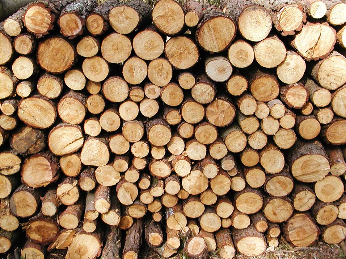 Die Struktur, Natur, Holz, der Holzstapel 32 fuer comercial Fotos und Bilder.
