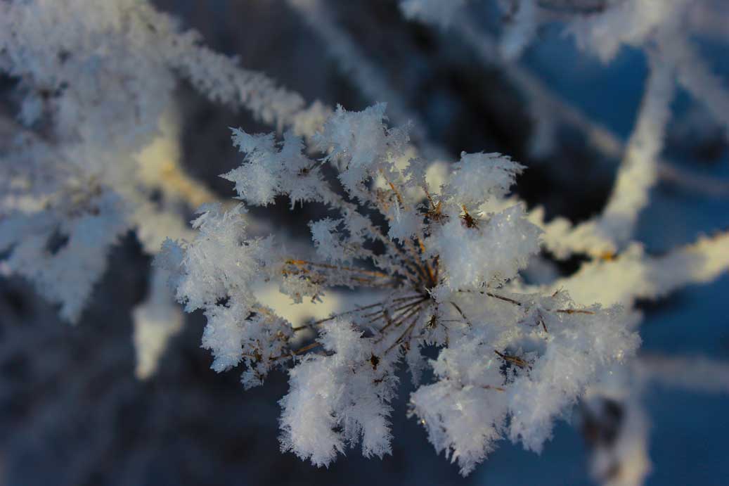 Das Foto der Texturen, Schnee und Eisgebilde, die Eisblume 01 für comercial Fotos und Bilder.