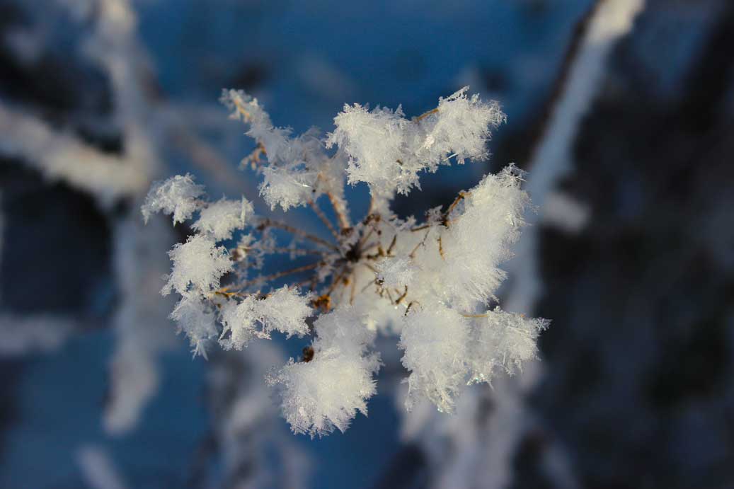 Das Foto der Texturen, Schnee und Eisgebilde, die Eisblume 02 für comercial Fotos und Bilder.